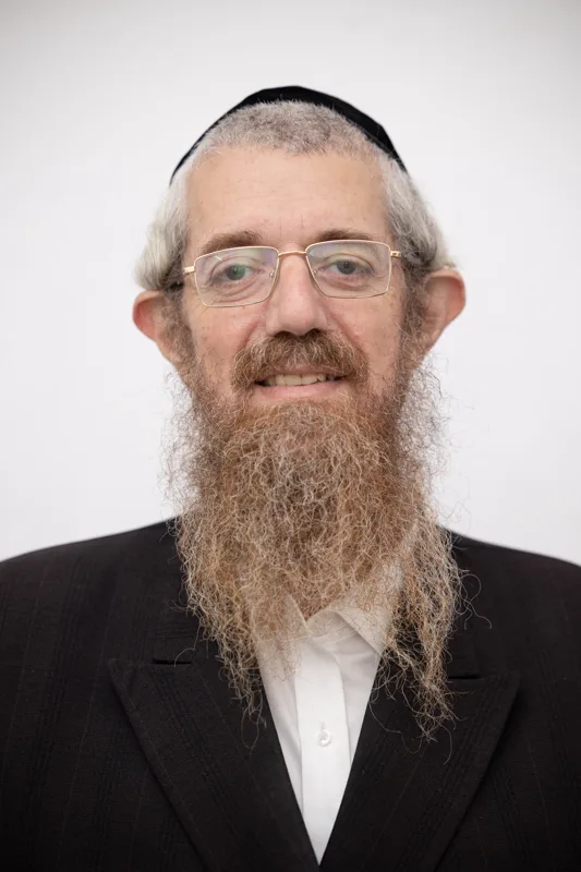 דוד ברקוביץ