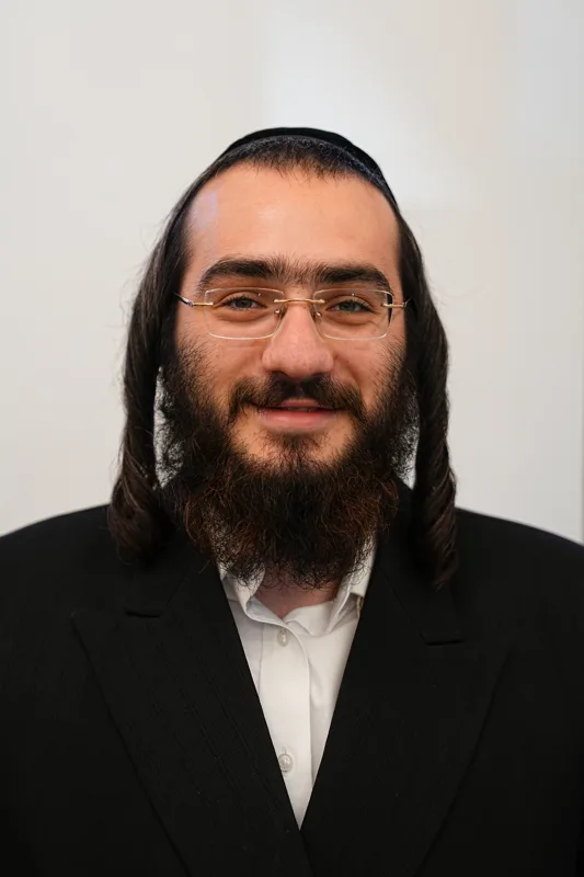 הרב דוד שטיינמץ שליט''א