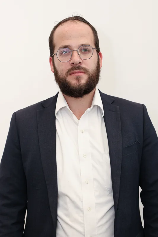 אריה ויג
